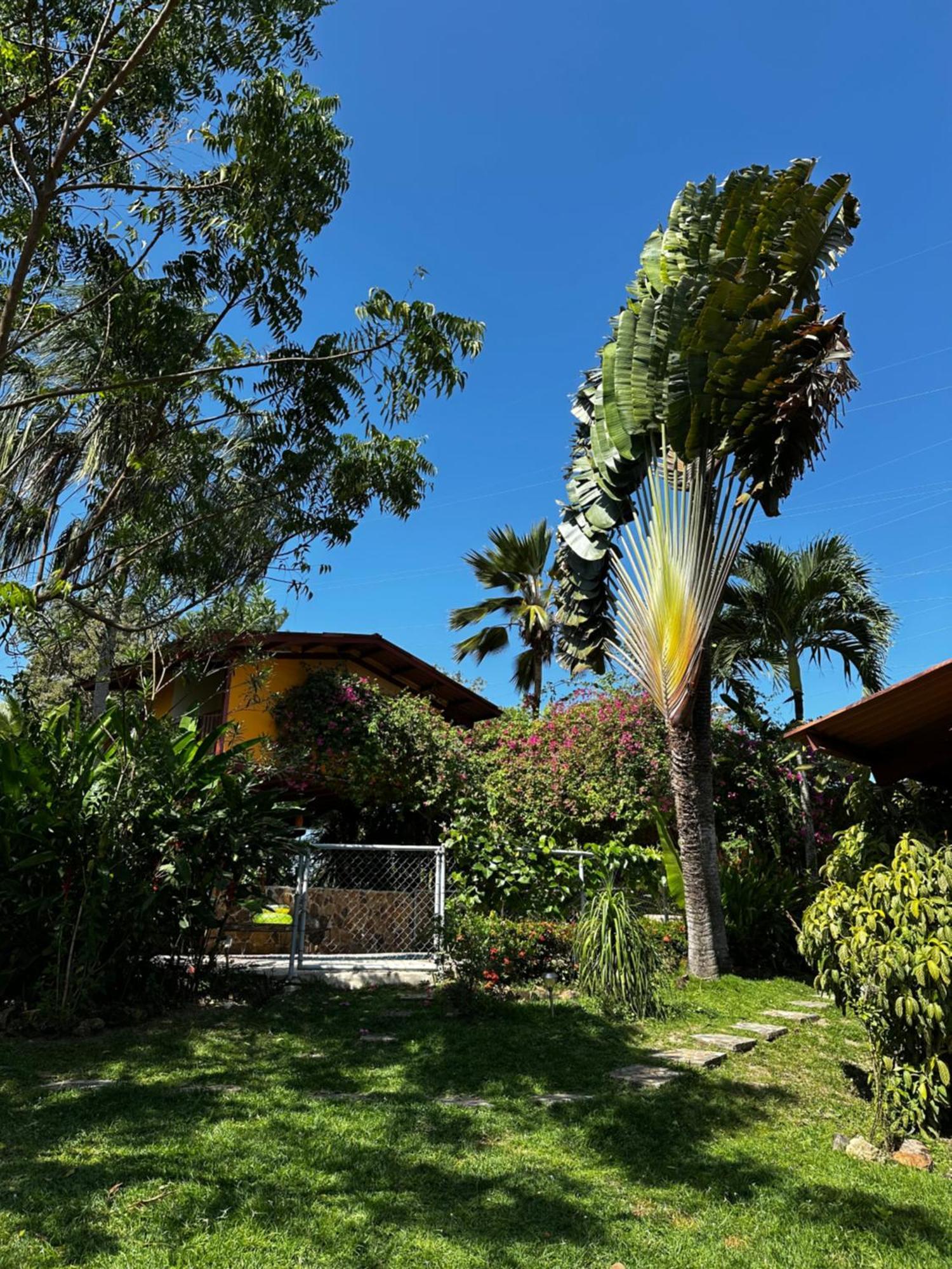 A Piece Of Paradise San Carlos