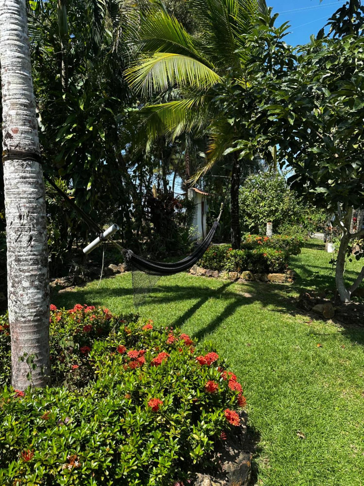 A Piece Of Paradise * San Carlos