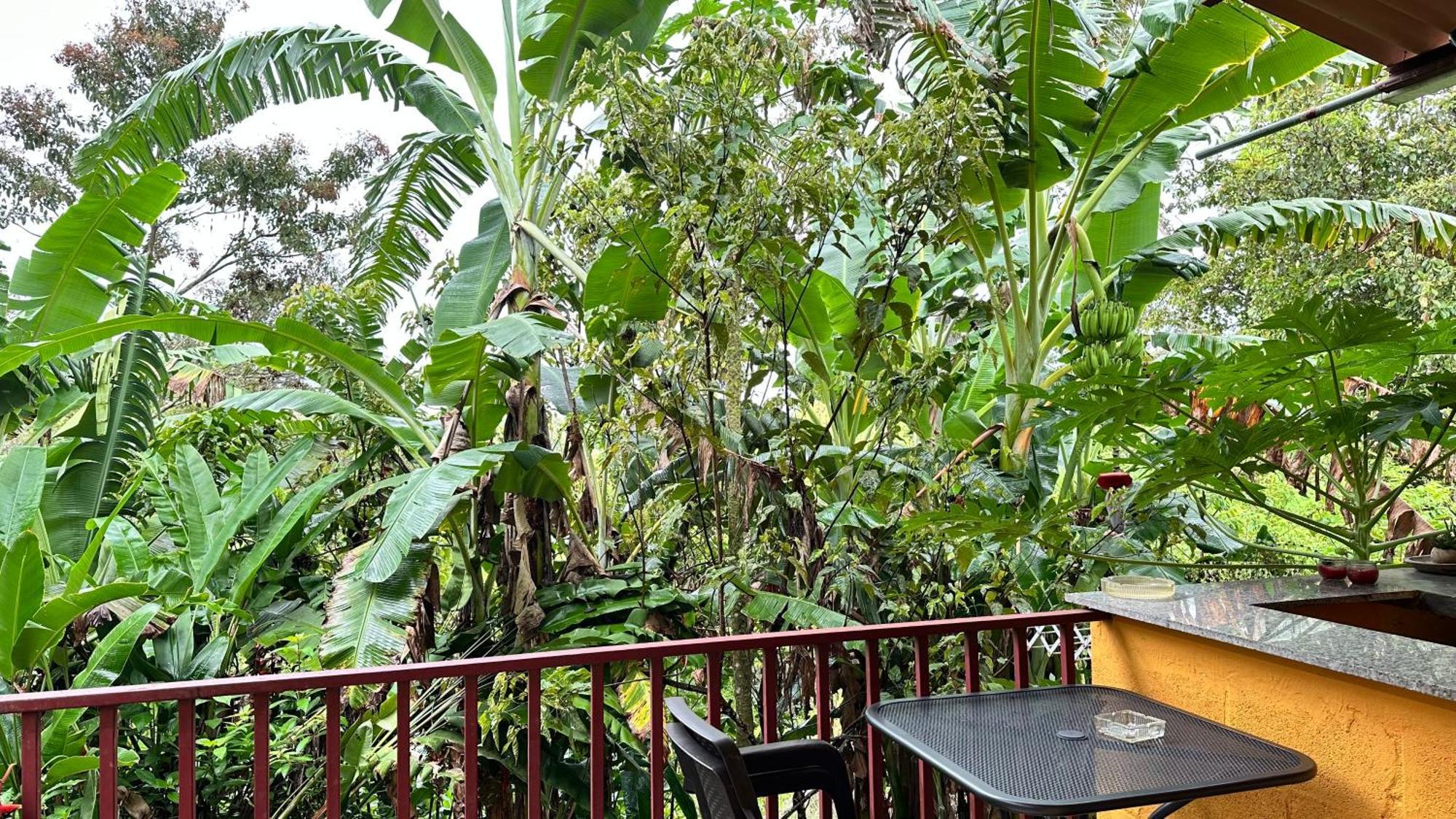 A Piece Of Paradise * San Carlos