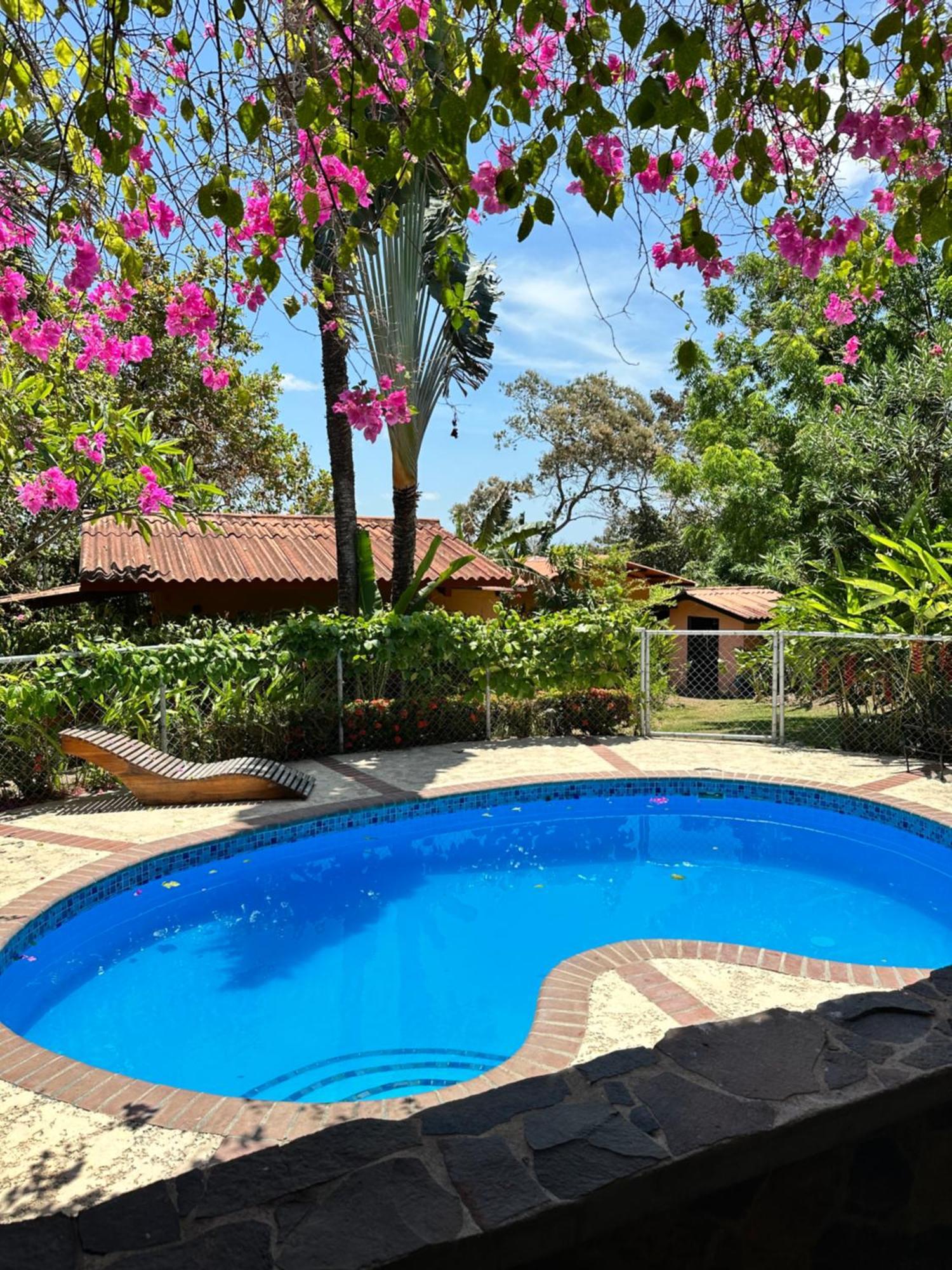 A Piece Of Paradise * San Carlos